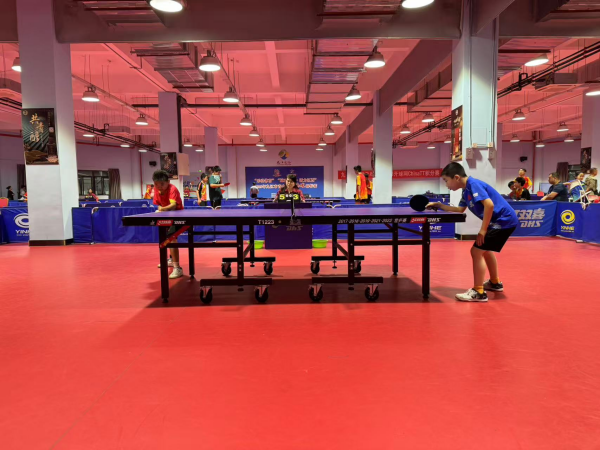 职业选手的 职业选手的