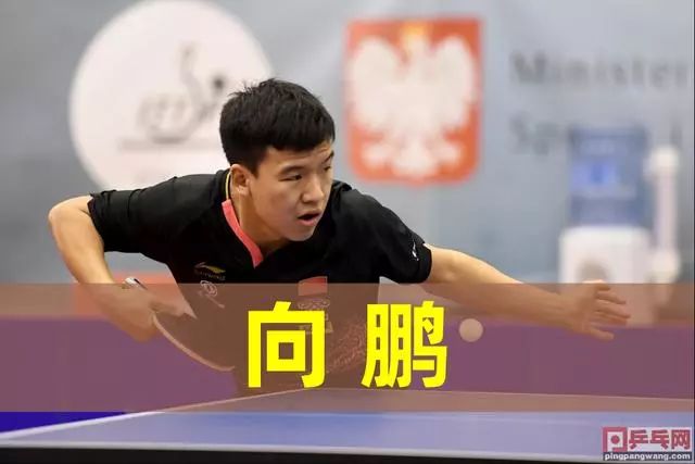 具体到巴奥